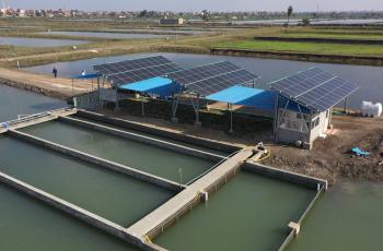 Agricultural Research Center Exhibition for Innovation and Entrepreneurship: Towards Sustainable Agriculture Development. Photo by WorldFish.